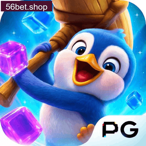 análise apostas 56BET